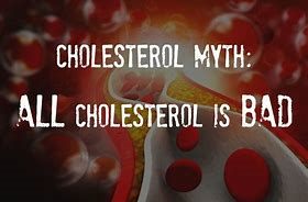 cholesterol myth1