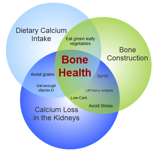 bone health